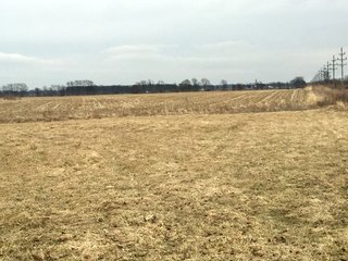 Property photo 19 - LAND AUCTION - 84+/- ACRES IN RUSH COUNTY, INDIANA